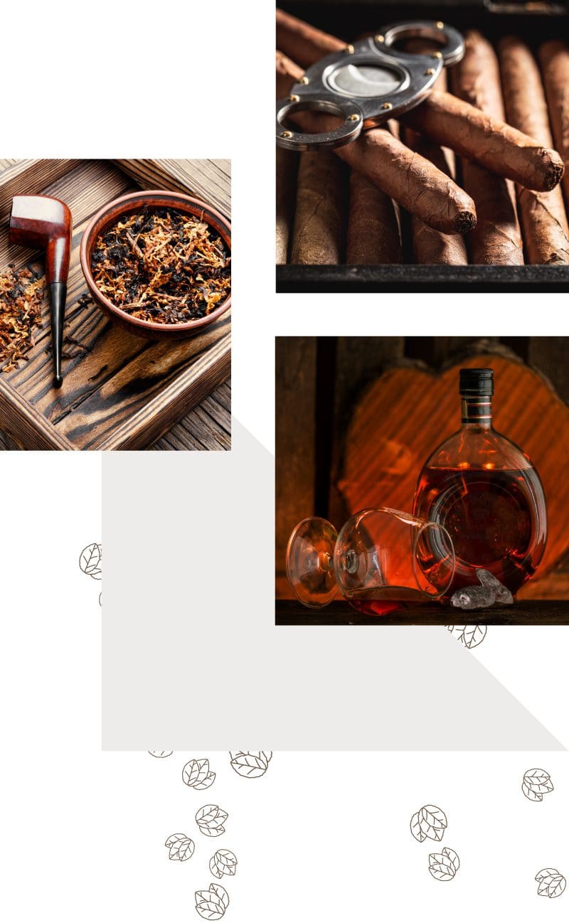 Un Set Di Bicchieri Con Bevande Alcoliche Forti Whisky Brandy Cognac O Rum Top View Strong Aged Alcoholic Drinks Black Stone Background 187166 68076