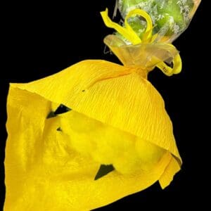 Bouquet mimose con cuoricini misti